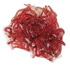 frozen blood worms