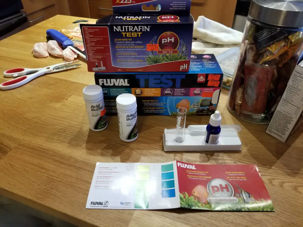 Do Betta Fish Need Water Conditioner? Betta Fish World