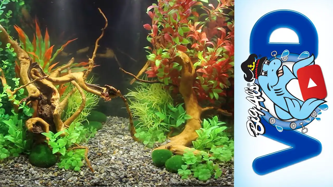 Can You Put Any Artificial Plants in Aquarium? 2