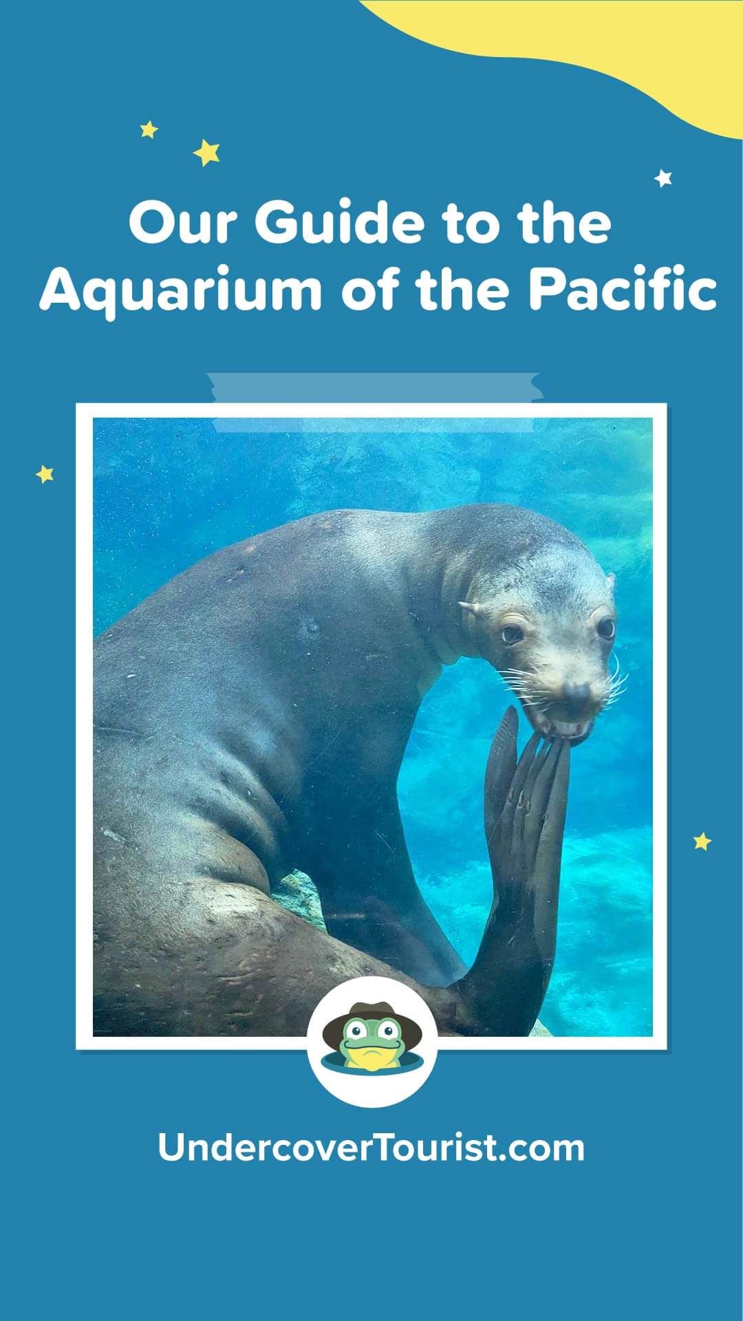 A Comprehensive Guide to Pacific Aquarium & Plant 2