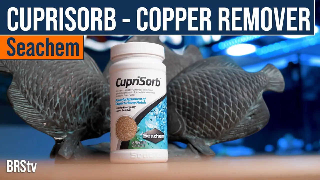 How to Remove Copper From Aquarium? 2
