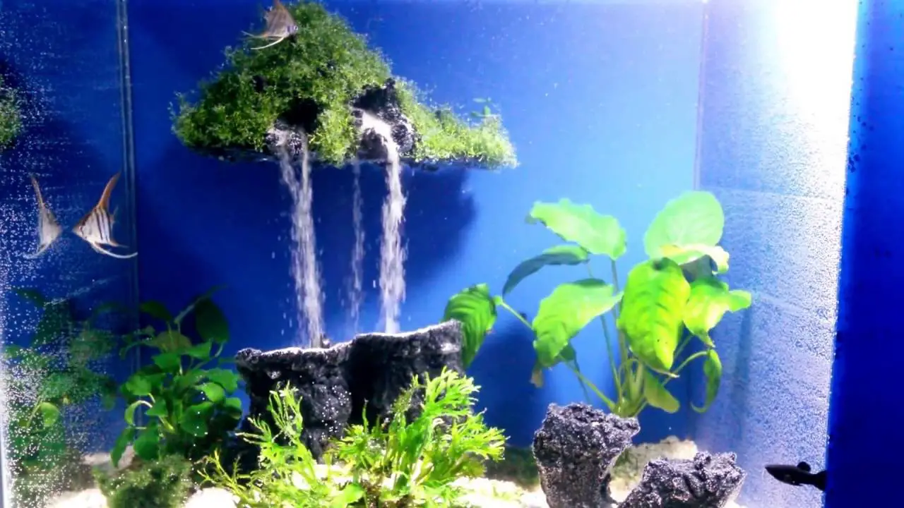 How to Make Sand Waterfall in Aquarium? 2