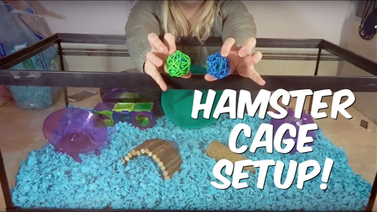 How to Set Up an Aquarium for Your Hamster 2