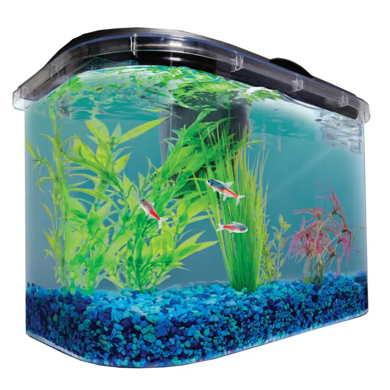 A Review Of The Imagitarium 5.2 Gallon Freshwater Aquarium Kit Betta