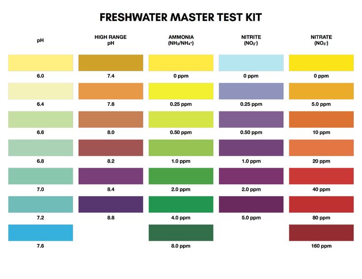 Understanding the Color Chart for Freshwater Aquarium Water Testing