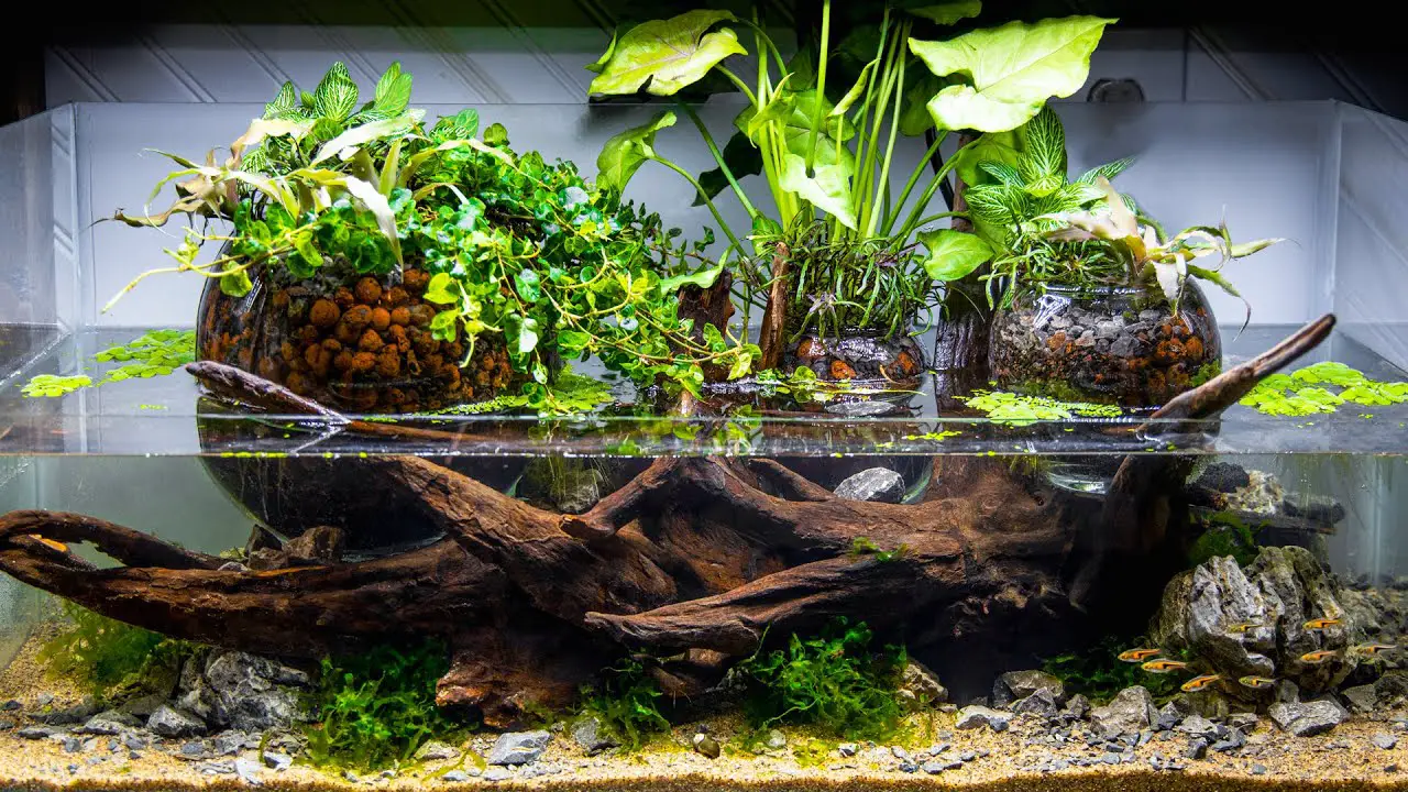 Making Your Own DIY Aquarium Plant Holder: A Step-by-Step Guide 2
