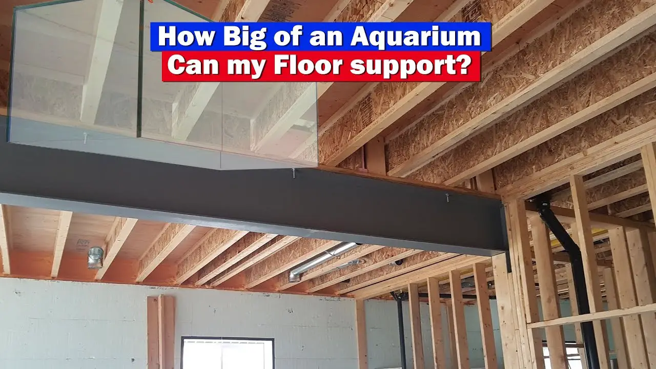 How Big of an Aquarium Can My Floor Support?
