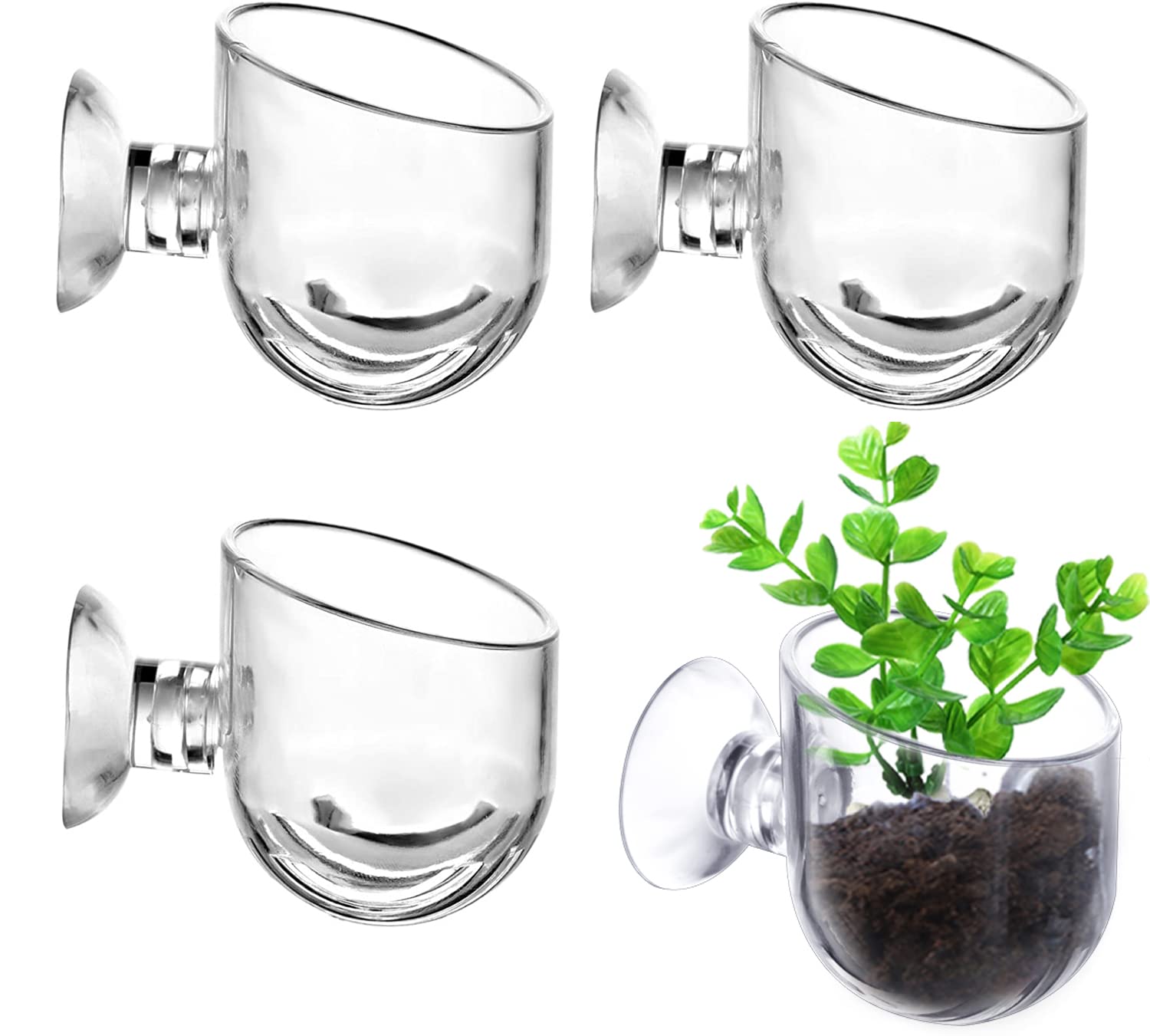 How to Secure Aquarium Plants with Suction Cups? 2