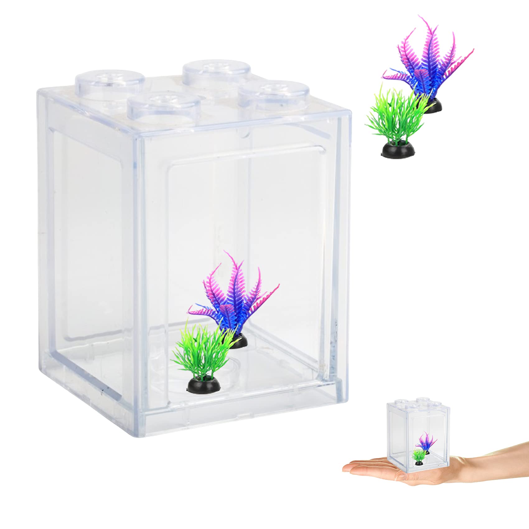 Unleash Your Creativity with These Unique Betta Fish Tank Ideas
