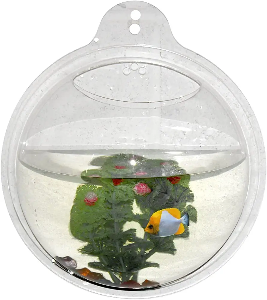 Pros and Cons of a Hanging Betta Fish Bowl 2