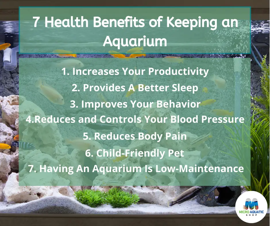 The Benefits of Having a Fish Tank at Home 2
