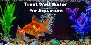 How to Treat Well Water for Aquarium? 2