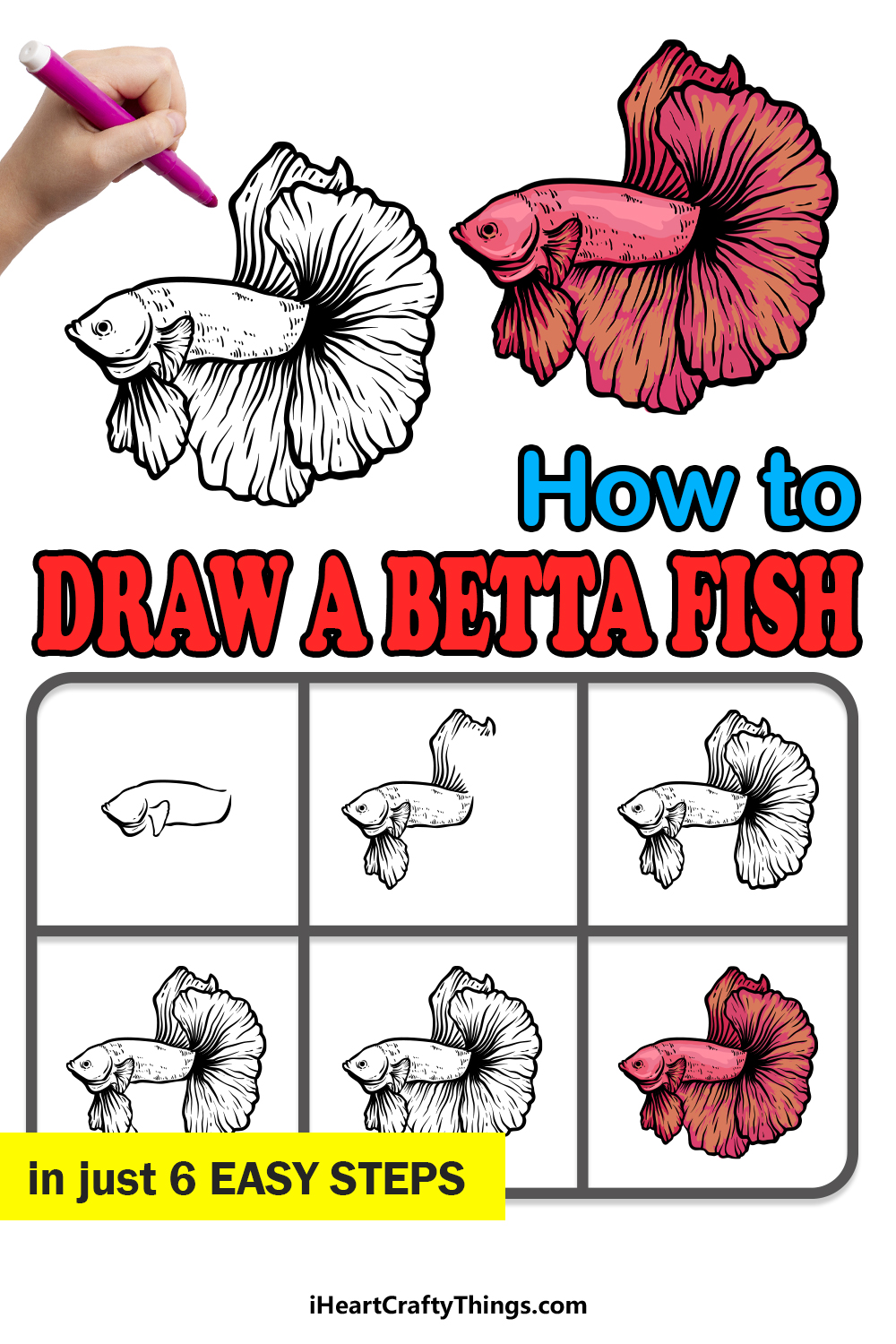 Betta Fish Sketch: How to Draw Your Own Betta Fish 2