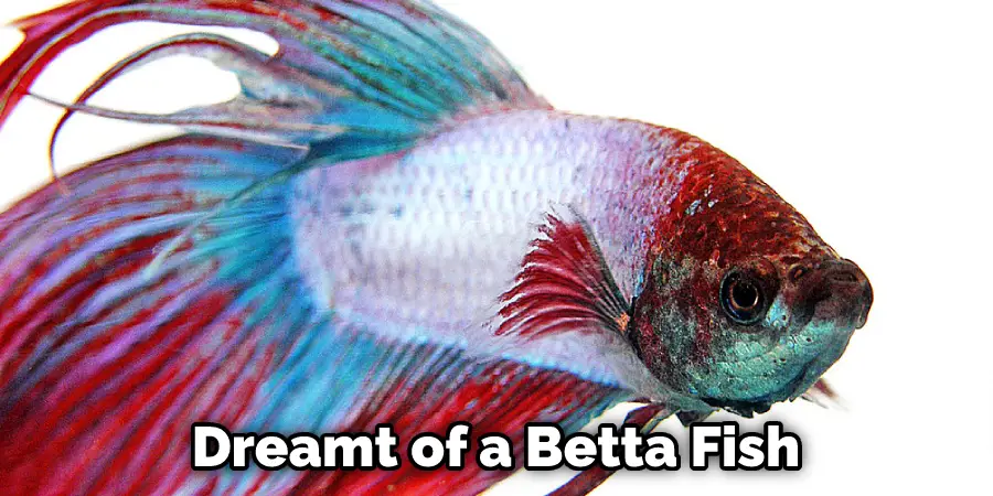 The Symbolic Meaning of Betta Fish in Different Cultures