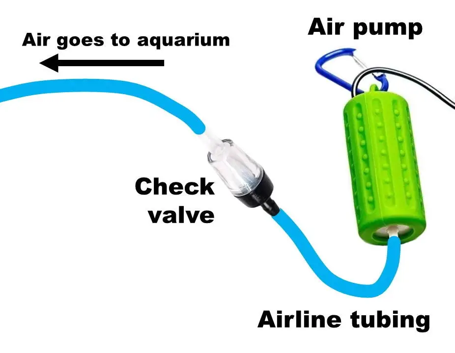 What is an Aquarium Air Pump and How Does it Work? 2