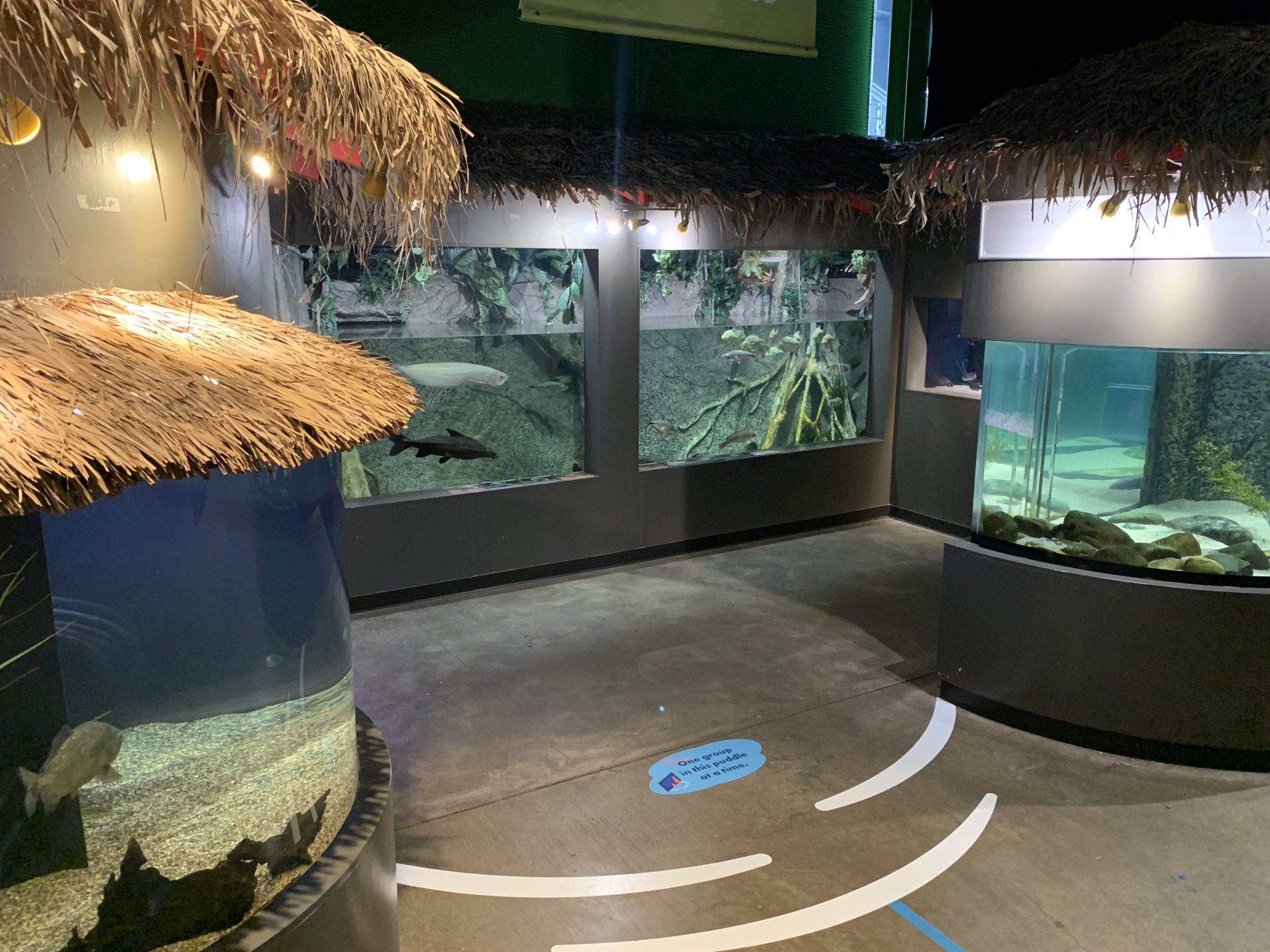 Visiting the Duluth Freshwater Aquarium: What You Need to Know 2