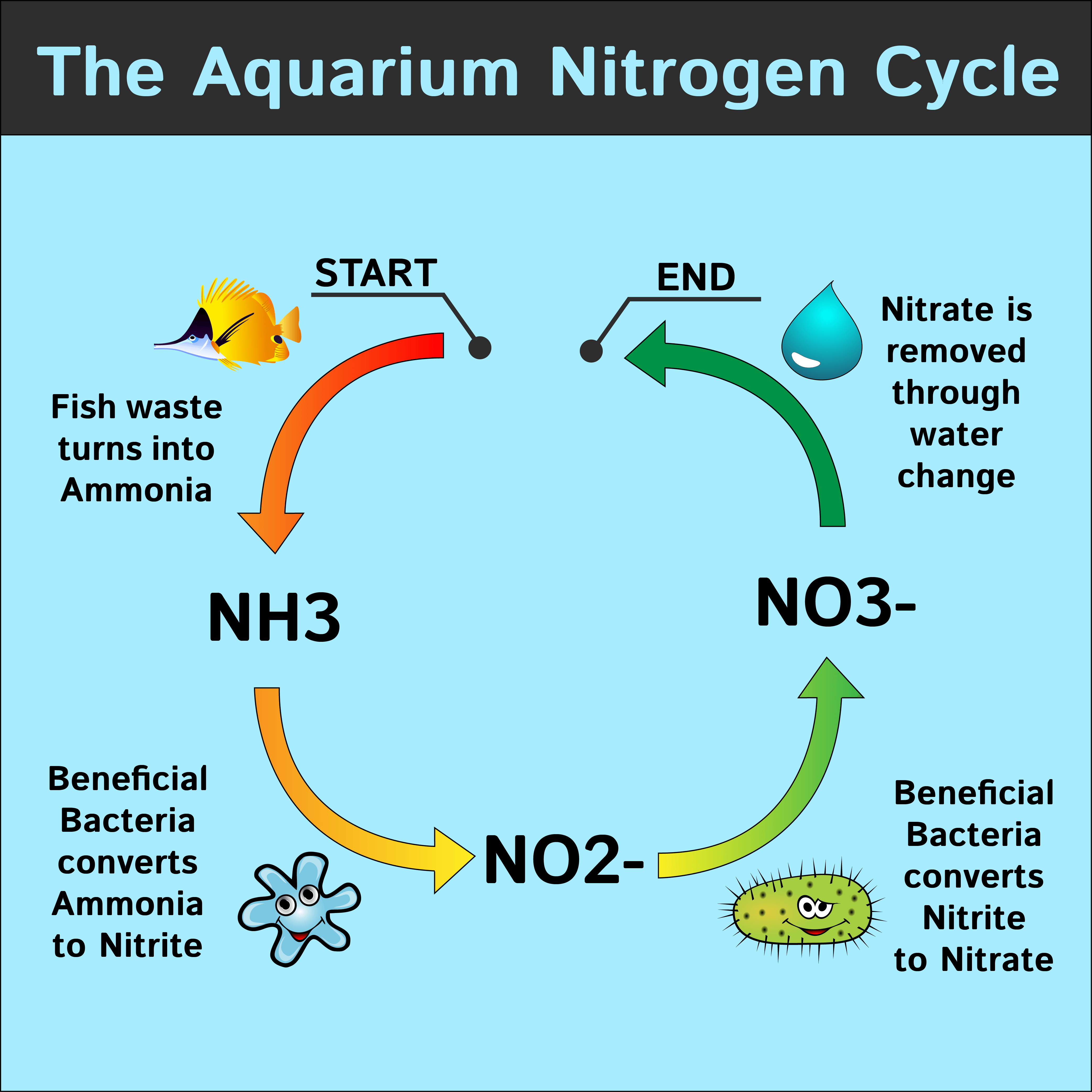 How to Add Nitrates to Aquarium? 2