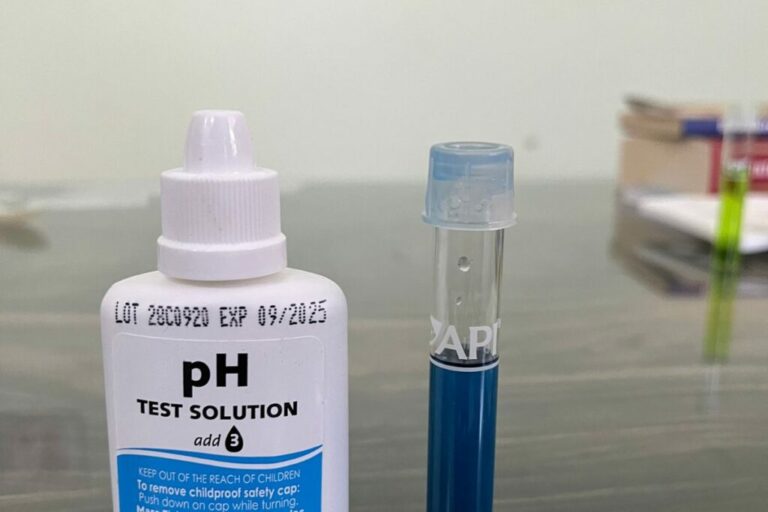 Maintaining The Ideal Water PH Level For Your Betta Fish Betta Fish World