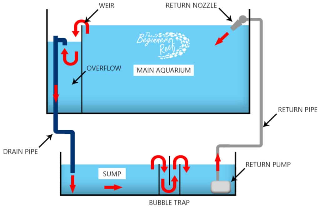 A Comprehensive Guide to Understanding Freshwater Aquarium Sump Diagrams 2