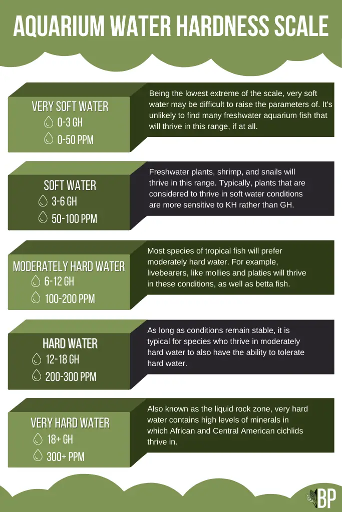 Understanding the Importance of Water Hardness for Betta Fish 2