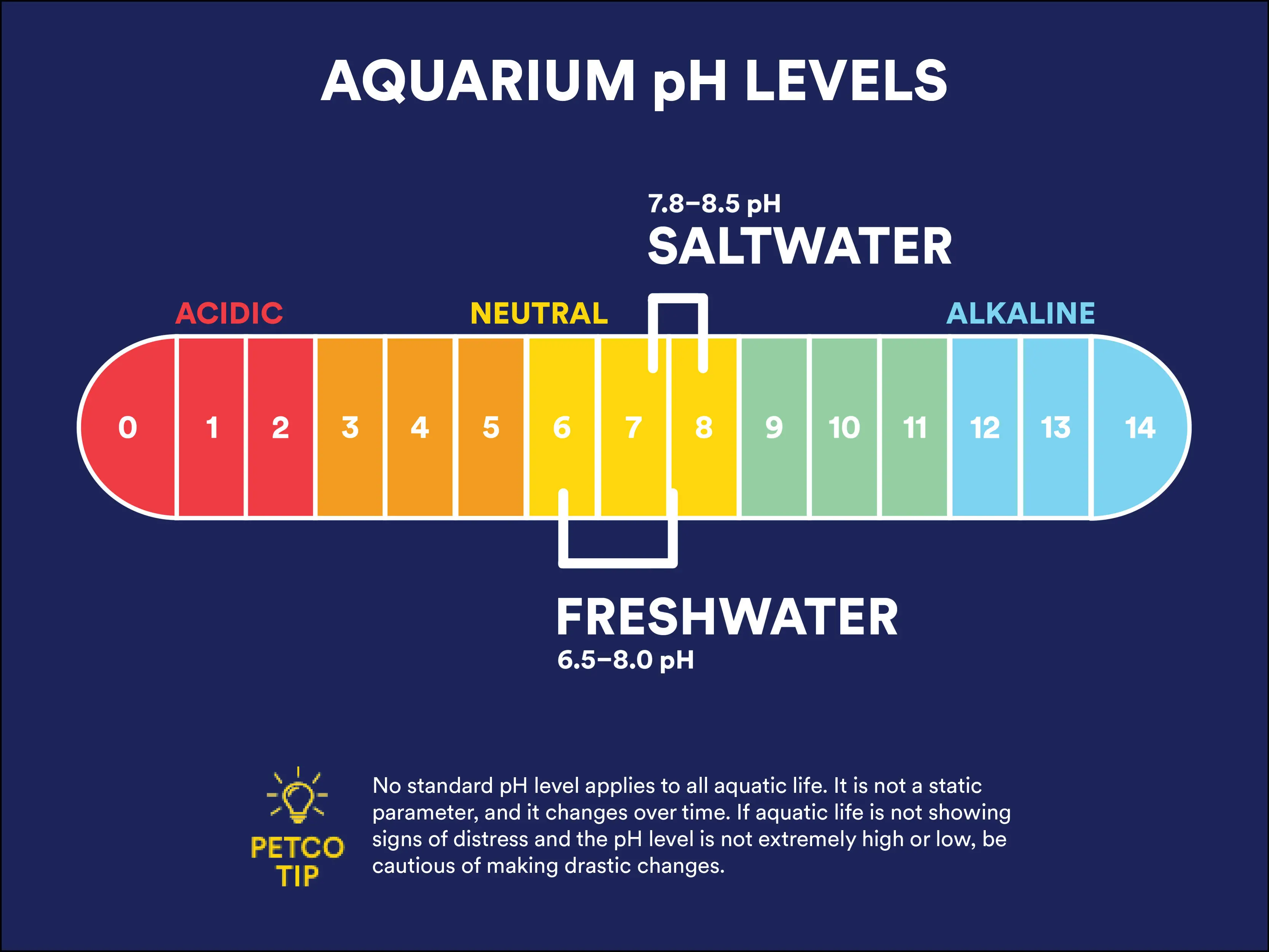 Does Petco Test Aquarium Water?
