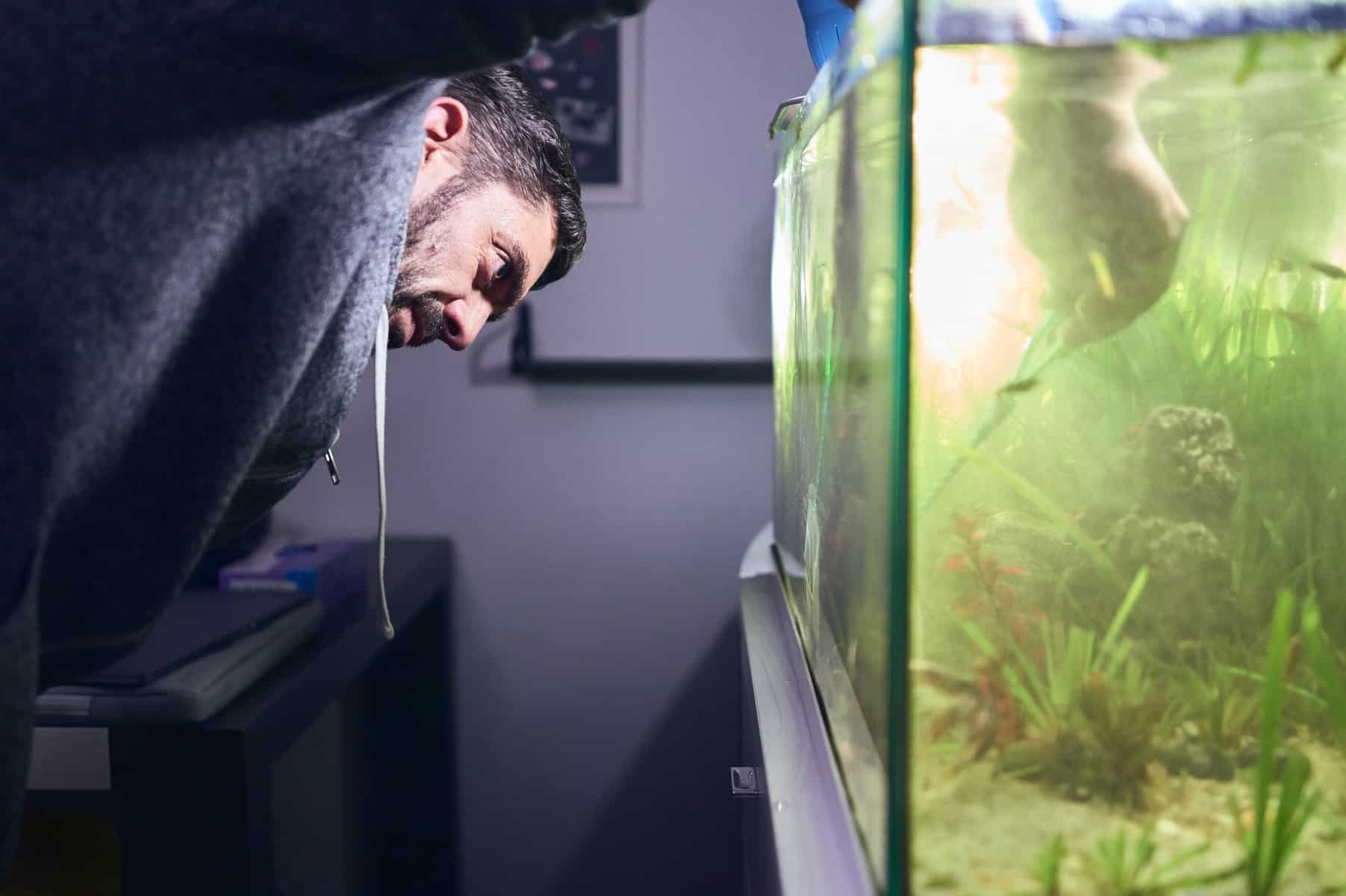 Troubleshooting Cloudy Water in Your Betta Fish Tank 2
