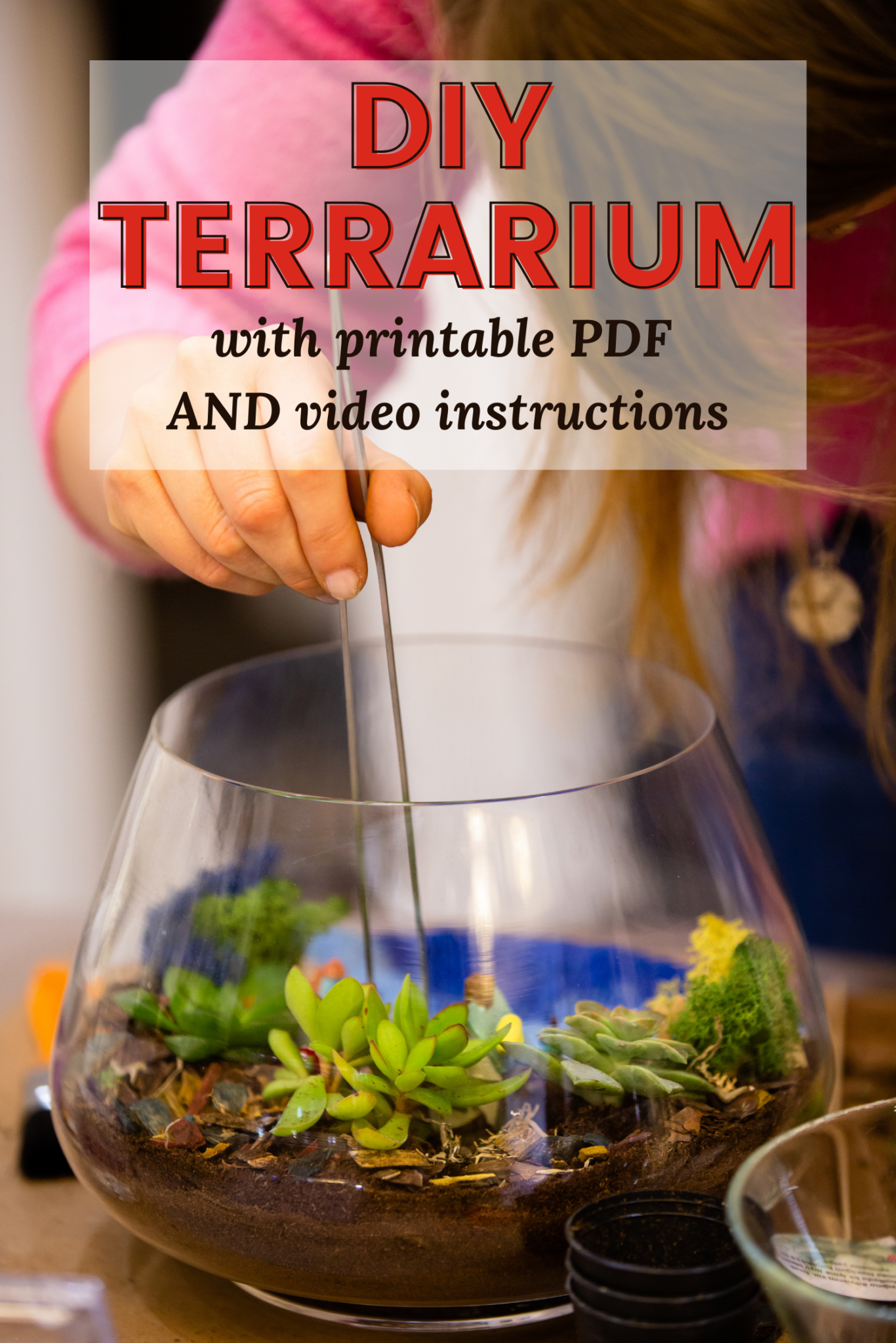 Making Your Own DIY Aquarium Plant Holder A StepbyStep Guide Betta