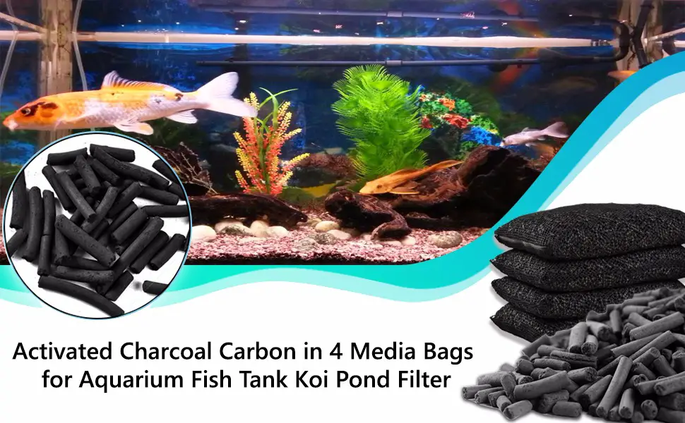 Can I Use Bbq Charcoal for Aquarium? 2