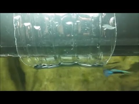 How to Diffuse Aquarium Filter Flow?