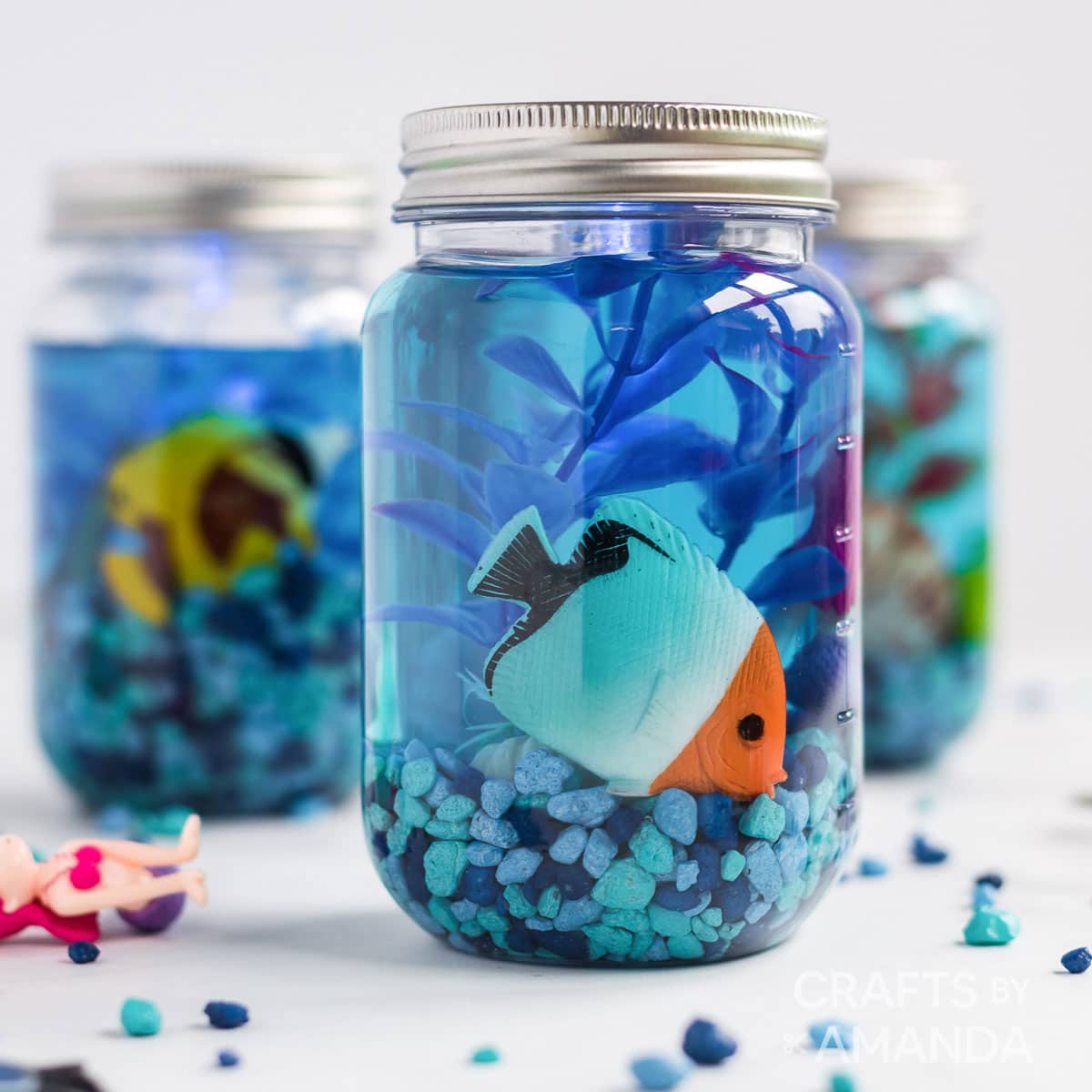 Building a Miniature Planted Jar Aquarium: Tips and Tricks 2
