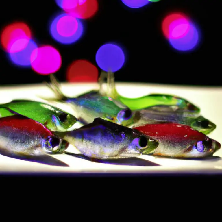 Can you eat neon Tetras Betta Fish World