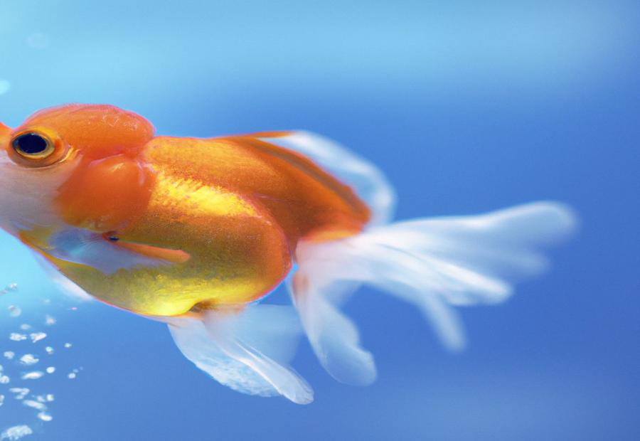 Potential Consequences of Using Goldfish as Bait - Is it illegal to use goldfIsh as bait 